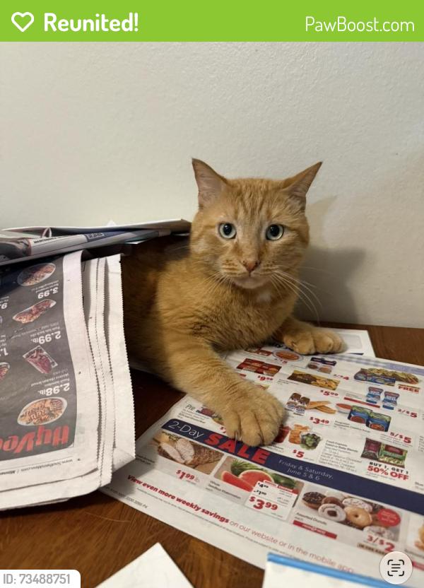 Reunited Male Cat last seen 16th Ave SW, Rochester, MN 55904
