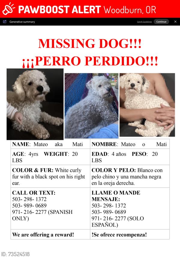 Lost Male Dog last seen Elm st & Young st, Woodburn, OR 97071