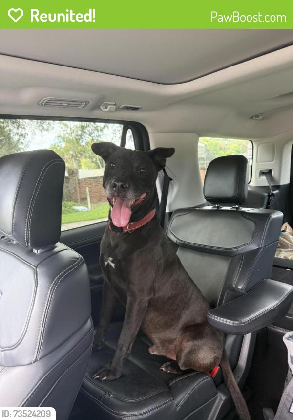 Reunited Male Dog last seen Dr. Phillips Blvd, Orlando, FL 32819