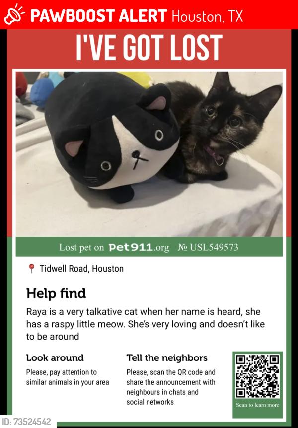 Lost Female Cat last seen near hardy toll road, Houston, TX 77093