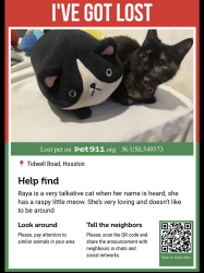 Lost Female Cat last seen near hardy toll road, Houston, TX 77093