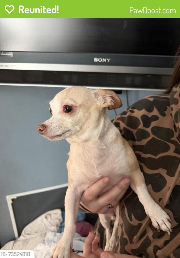 Reunited Female Dog last seen Hidden lakes, Cameron, NC 28326