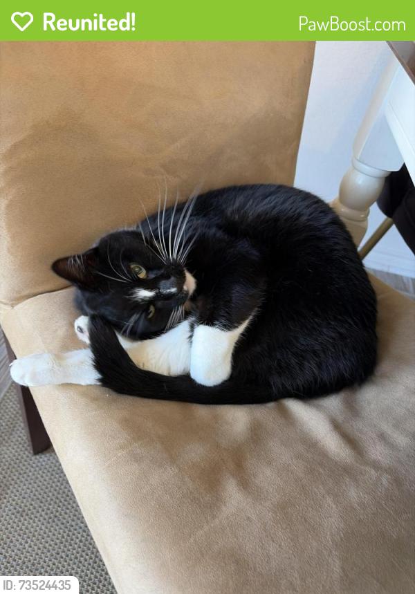 Reunited Male Cat last seen Deer Run, Draper, UT 84020