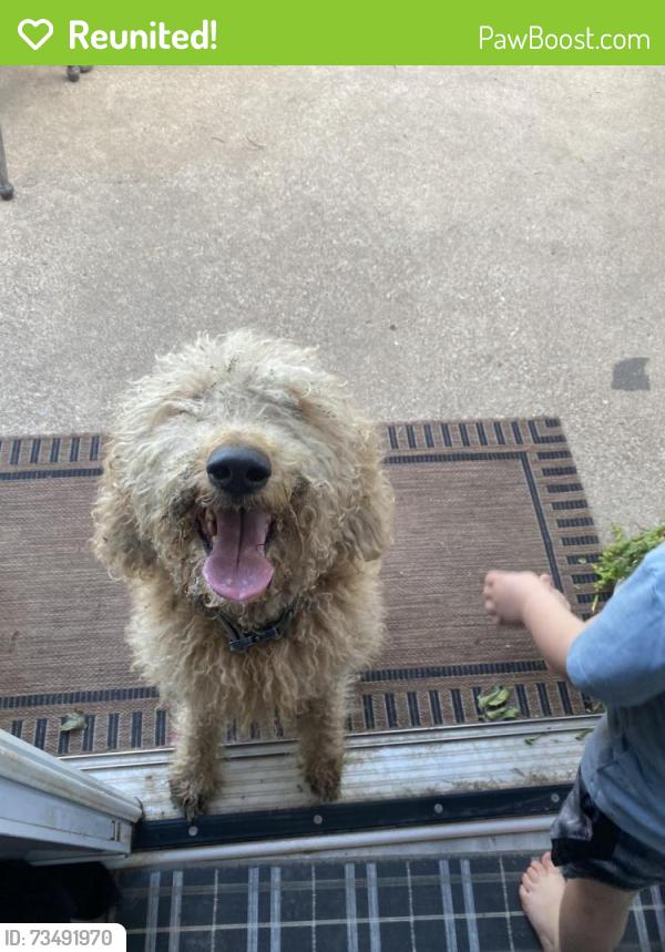 Reunited Female Dog last seen Dan Danciger and Granbury Road, Fort Worth, TX 76133