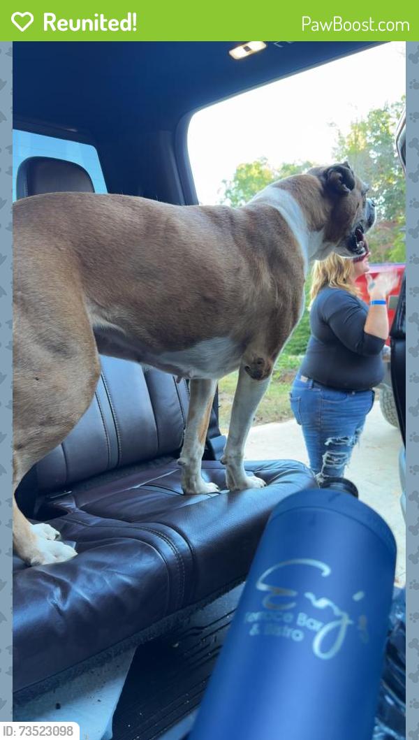 Reunited Female Dog last seen Seen at our hse on sinking cave, Tellico Plains, TN 37385