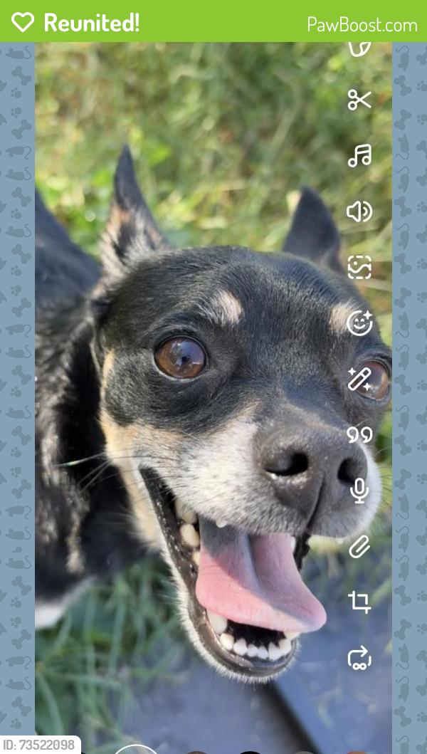 Reunited Male Dog last seen Praley st, pineburr ave, Valdese, NC 28690