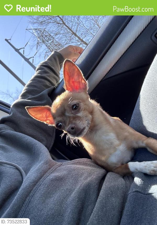 Reunited Male Dog last seen Eastern ave, Waterbury, CT 06708