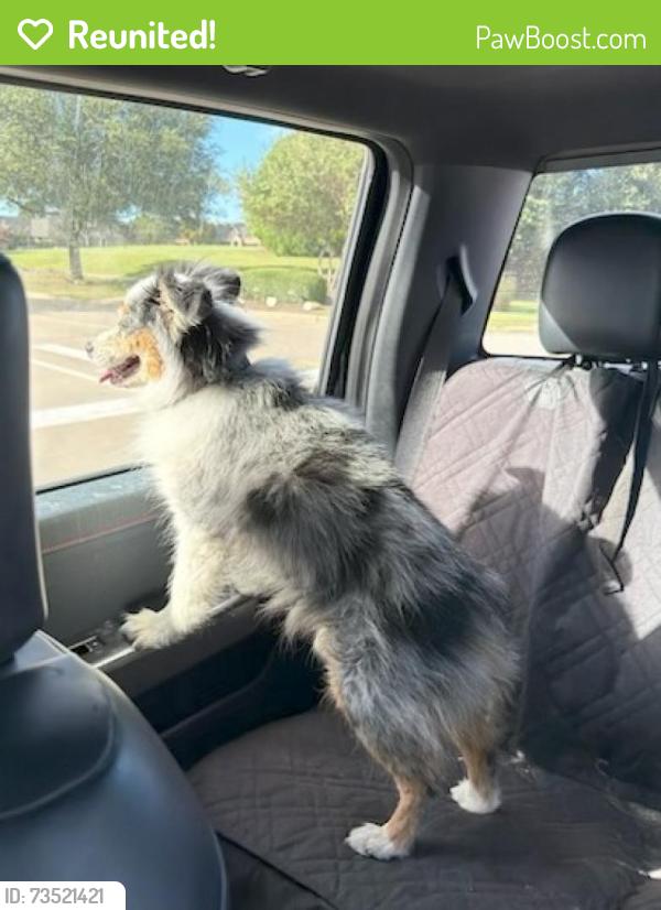 Reunited Male Dog last seen Mckinney Medical Center, McKinney, TX 75069