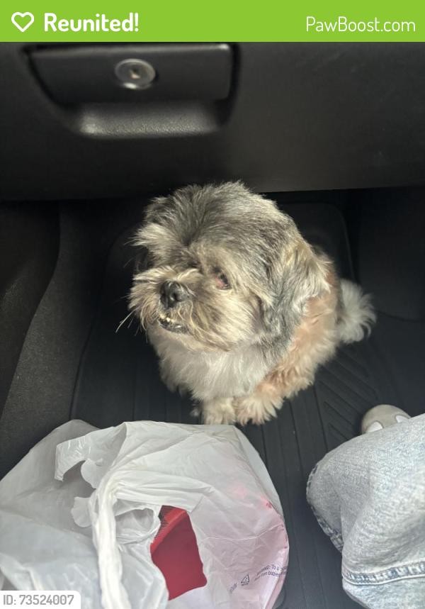 Reunited Male Dog last seen Champion Forest Neighborhood Lodge Creek Street, Houston, TX 77066