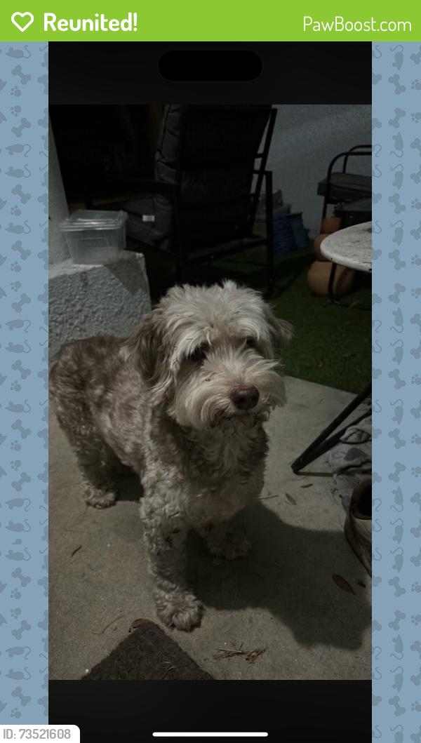 Reunited Male Dog last seen river road dade city near 301, Dade City, FL 33525