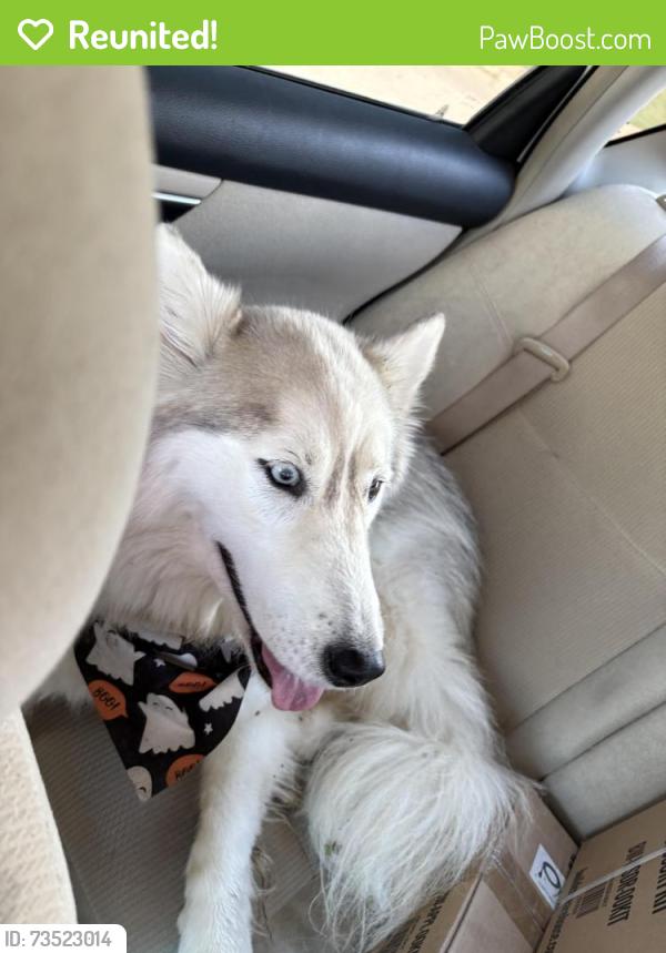 Reunited Unknown Dog last seen Matlock and Debbie lane, Mansfield, TX 76063