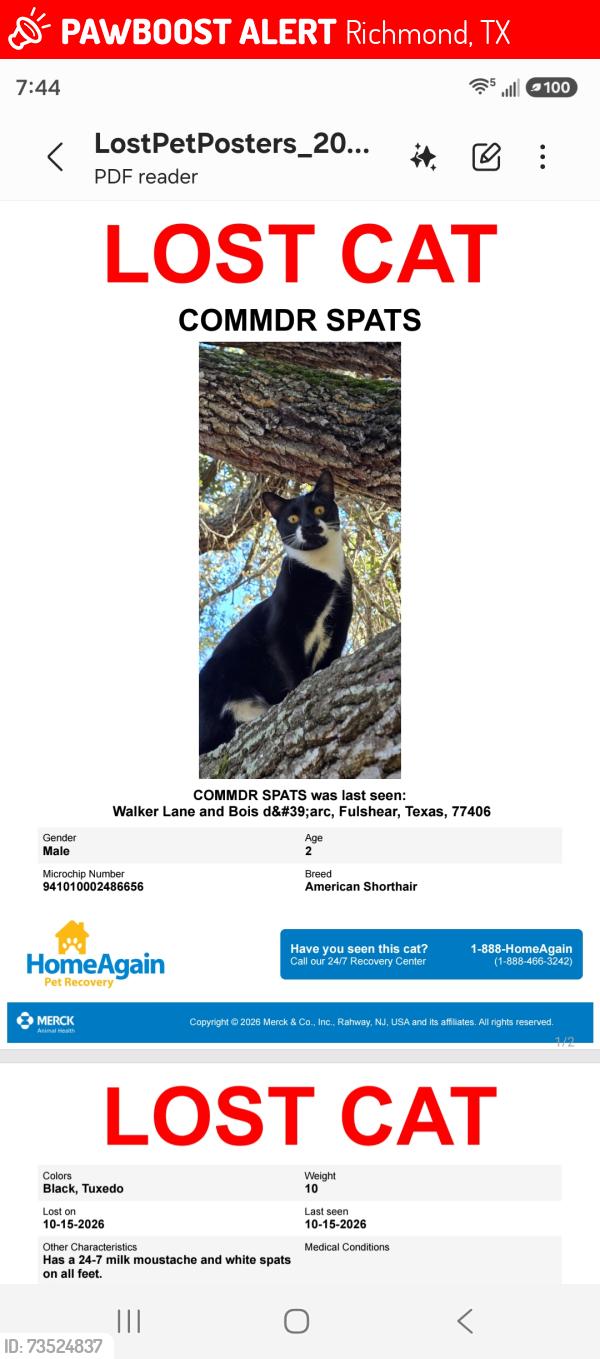 Lost Male Cat last seen Bois D' Arc, Richmond, TX 77406