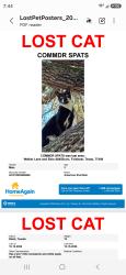 Lost Male Cat last seen Bois D' Arc, Richmond, TX 77406