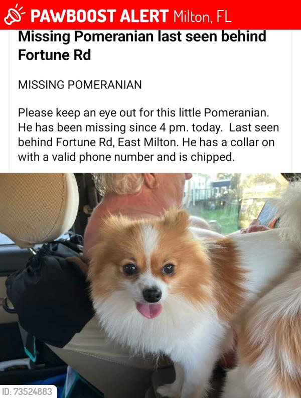 Lost Male Dog last seen Fortune Road and Bright Oak Circle, Milton, FL 32583