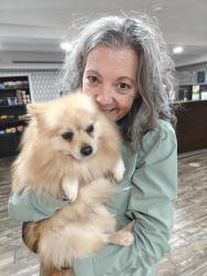 Found/Stray Male Dog last seen Queen St, Charlotte, NC 28208