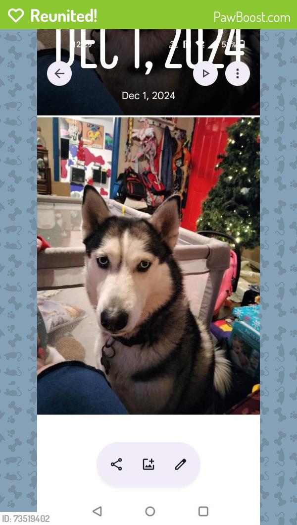 Reunited Male Dog last seen Harris Ave, NW 8th street, Oklahoma City, OK 73107