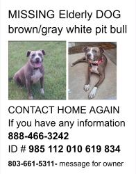 Reunited Female Dog last seen Hunt Club Rd and Dartmouth, Windsor Lake area, Two Notch, Columbia, SC 29223