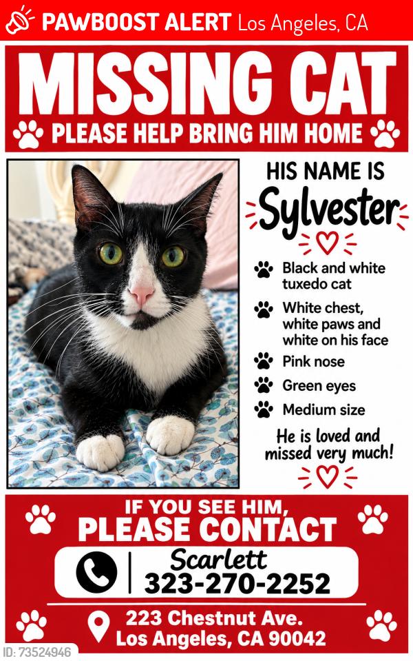 Lost Male Cat last seen San Pascual st, Los Angeles, CA 90042