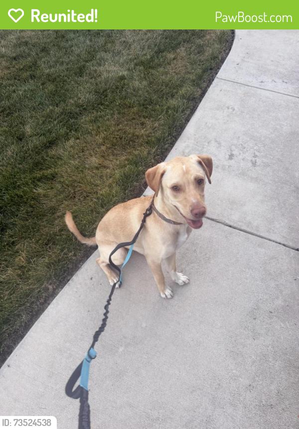 Reunited Male Dog last seen Bellstone Dr and Glenworth Drive, Rountrey Neighbkorhoodd, Midlothian, VA 23112