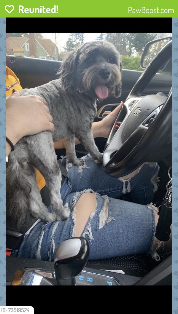 Reunited Female Dog last seen 35th McKinley ave, Tacoma, WA 98404