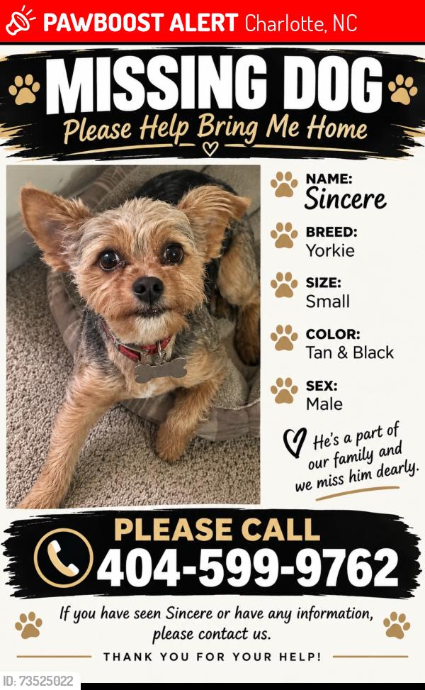 Lost Male Dog last seen Willard St, Charlotte, NC 28208