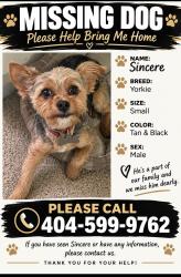Lost Male Dog last seen Willard St, Charlotte, NC 28208