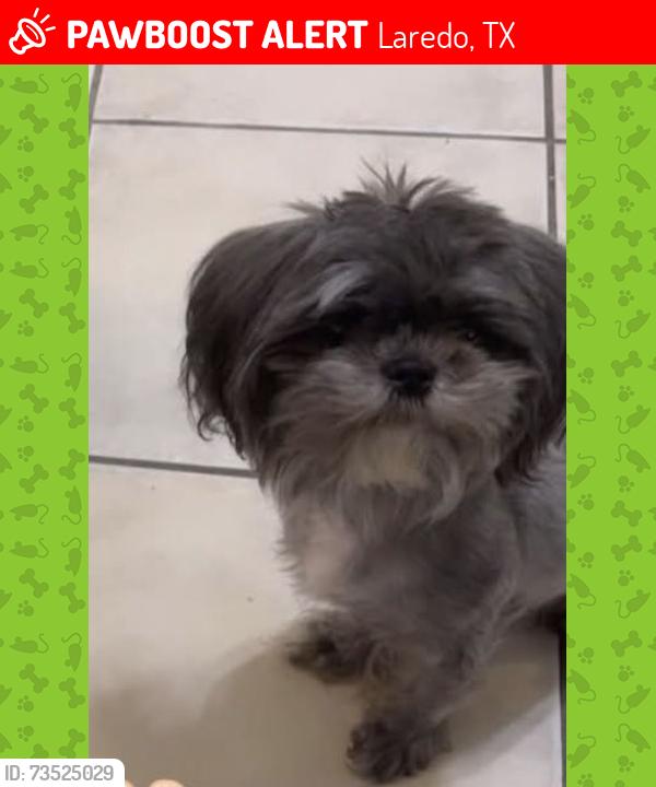 Lost Female Dog last seen Villas san agustin fasken rec, Laredo, TX 78045