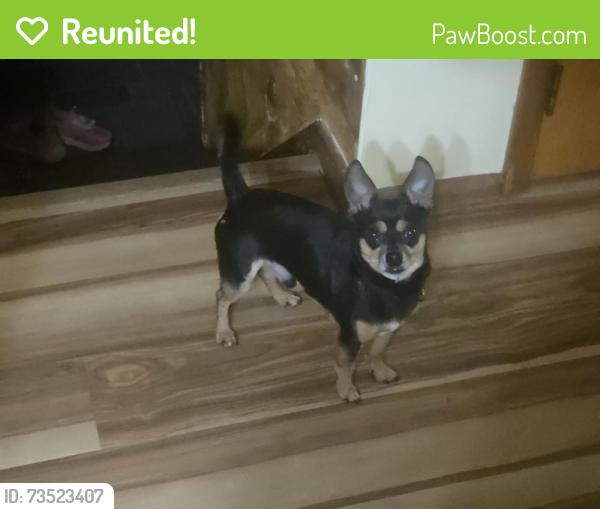 Reunited Male Dog last seen Near Easton Rd, Bethlehem, PA 18055