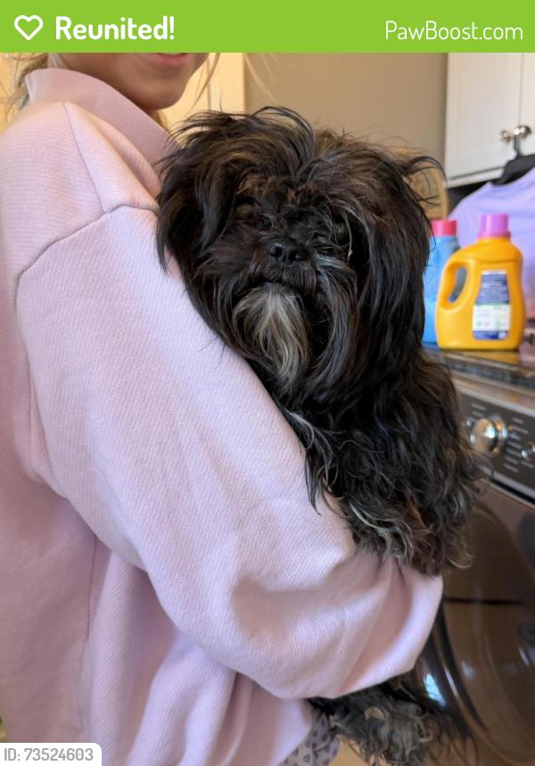 Reunited Unknown Dog last seen Georgetown Bay neighborhood, Ooltewah TN, Hamilton County, TN 37363