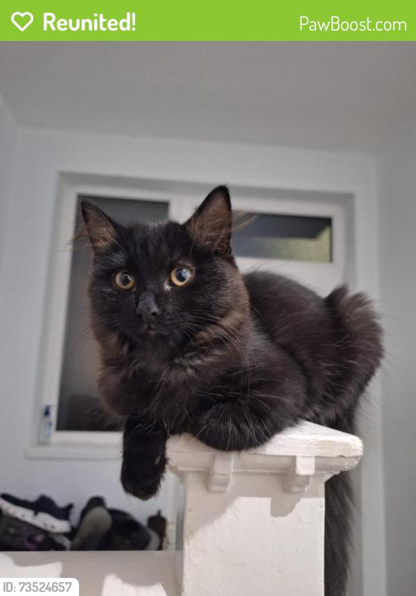 Reunited Female Cat last seen Brandwood Road, Kings Heath, Birmingham, West Midlands, England 