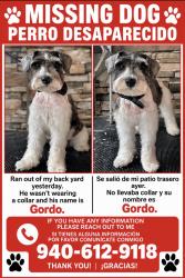 Reunited Male Dog last seen Cactus, Yucca, Denton, TX 76209