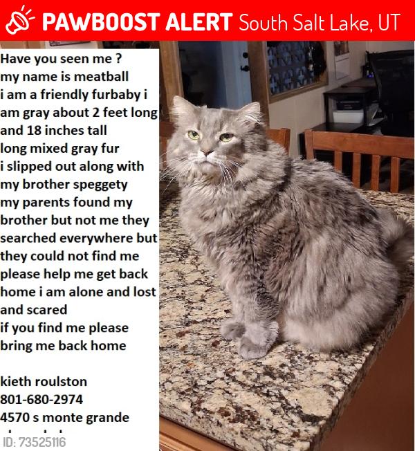Lost Male Cat last seen Near s 7 w, South Salt Lake, UT 84119