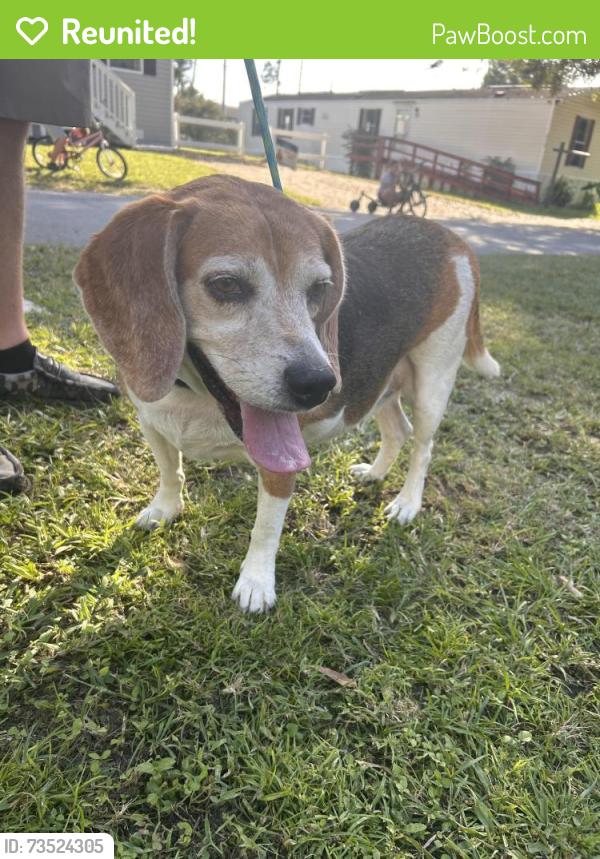Reunited Unknown Dog last seen 23rd street and 54, Zephyrhills, FL 33542