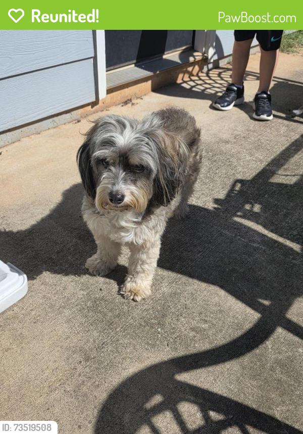 Reunited Unknown Dog last seen WH Hayes Rd, Jackson County, GA 30549