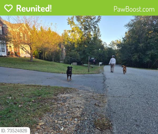 Reunited Male Dog last seen Artillery Ridge neighborhood, Artillery Ridge, VA 22408