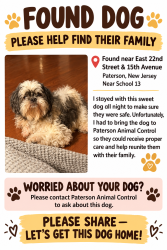 Found/Stray Female Dog last seen east 22nd st, Paterson, NJ 07501