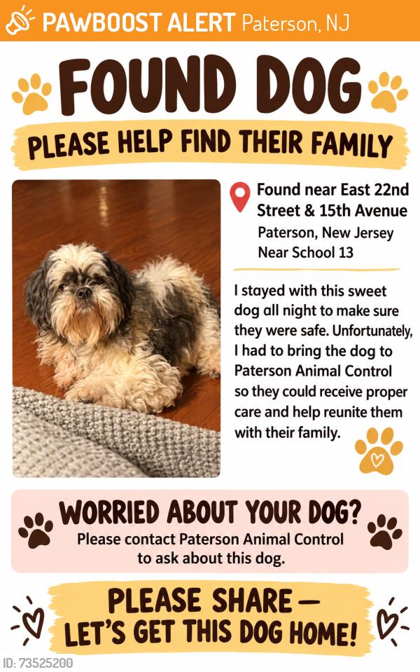 Found/Stray Female Dog last seen east 22nd st, Paterson, NJ 07501