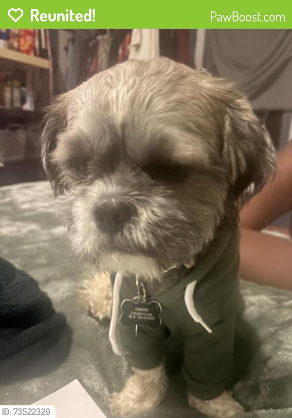 Reunited Male Dog last seen Near and grove, Wichita, KS 67219