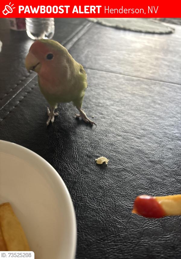Lost Unknown Bird last seen manganese st, Henderson, NV 89015