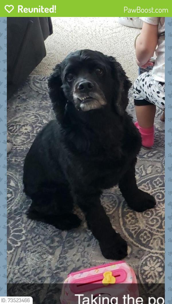 Reunited Male Dog last seen Kettner and Kershner rd, Ellington, WI 54170