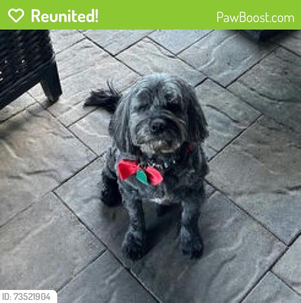 Reunited Male Dog last seen Near E 124th St S, Jenks, OK 74037, USA, Jenks, OK 74037