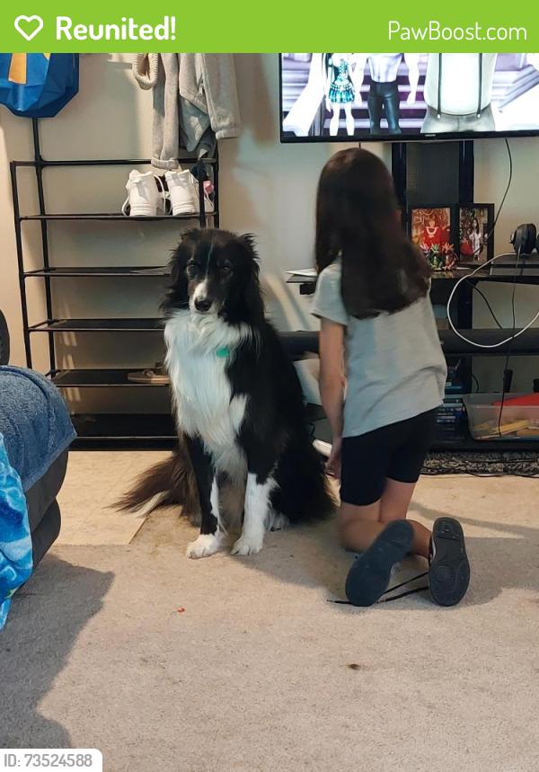 Reunited Male Dog last seen Mur len and E Willow dr, Olathe, KS 66062