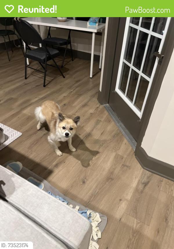 Reunited Male Dog last seen The view on Canton, Cartersville, GA 30121