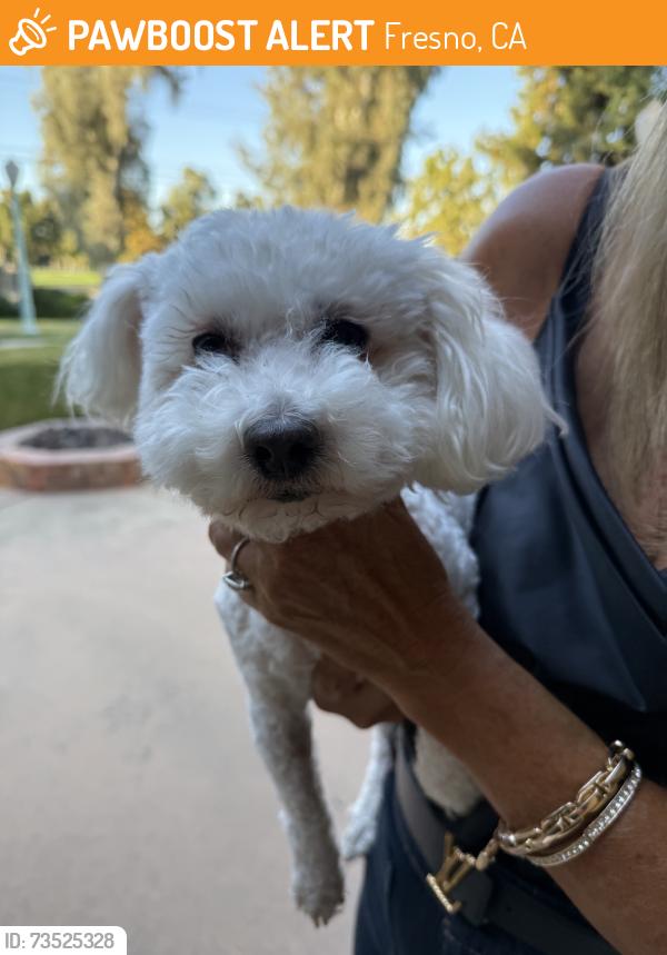 Found/Stray Female Dog last seen Hamilton / Club View Dr., Fresno, CA 93727