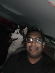 Reunited Male Dog last seen Yacht Bayshore yacht and tennis club, North Bay Village, FL 33141