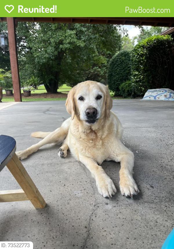Reunited Male Dog last seen Near Louisville Rd, Appling, GA 30802