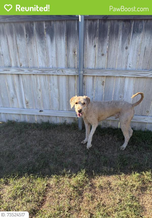 Reunited Male Dog last seen 33rd and Coltrane, Edmond, OK 73013
