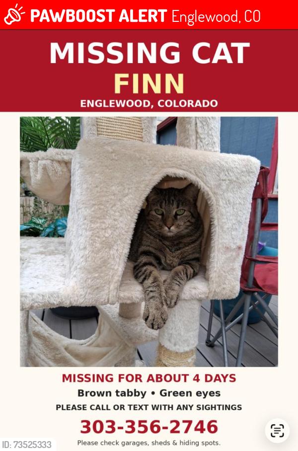 Lost Female Cat last seen Vassar. Tejon, Englewood, CO 80110
