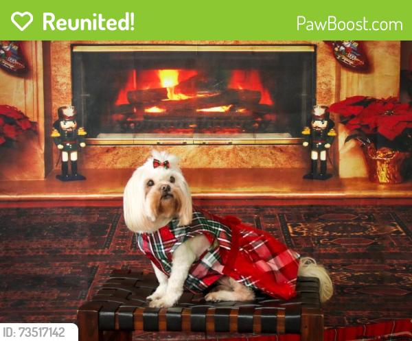 Reunited Female Dog last seen Macon Road, Memphis, TN 38134