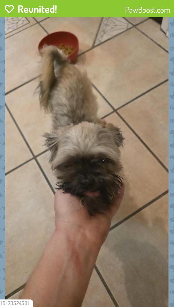Reunited Male Dog last seen Near Woodmill lane and Gaslight ln, Mobile, AL 36695